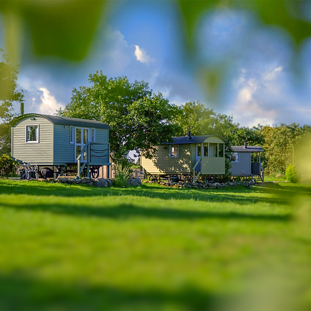 Untitled design - 2023-11-19T190250.617 (2024_06_27 17_56_02 UTC).png