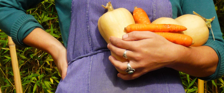 A deux pots d'ici, petits pots bébé bio et local végétarien, Toulouse, Midi Pyrénées, aux légumes bio