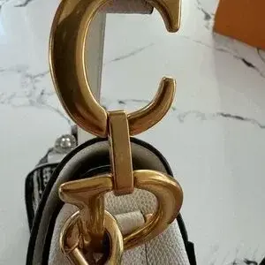 Thumbnail: Dior saddle EUC comes with strap
