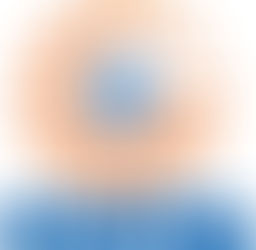 Traduciendo a los políticos: Las empresas de interés nacional