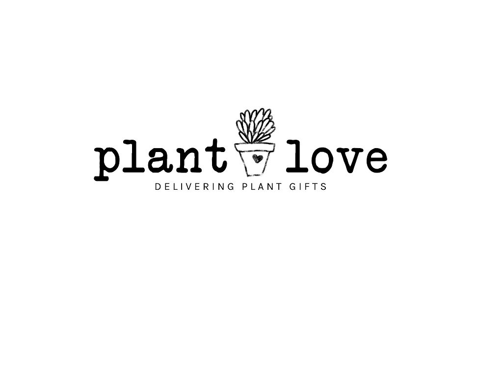 Thumbnail: PLANT LOVE