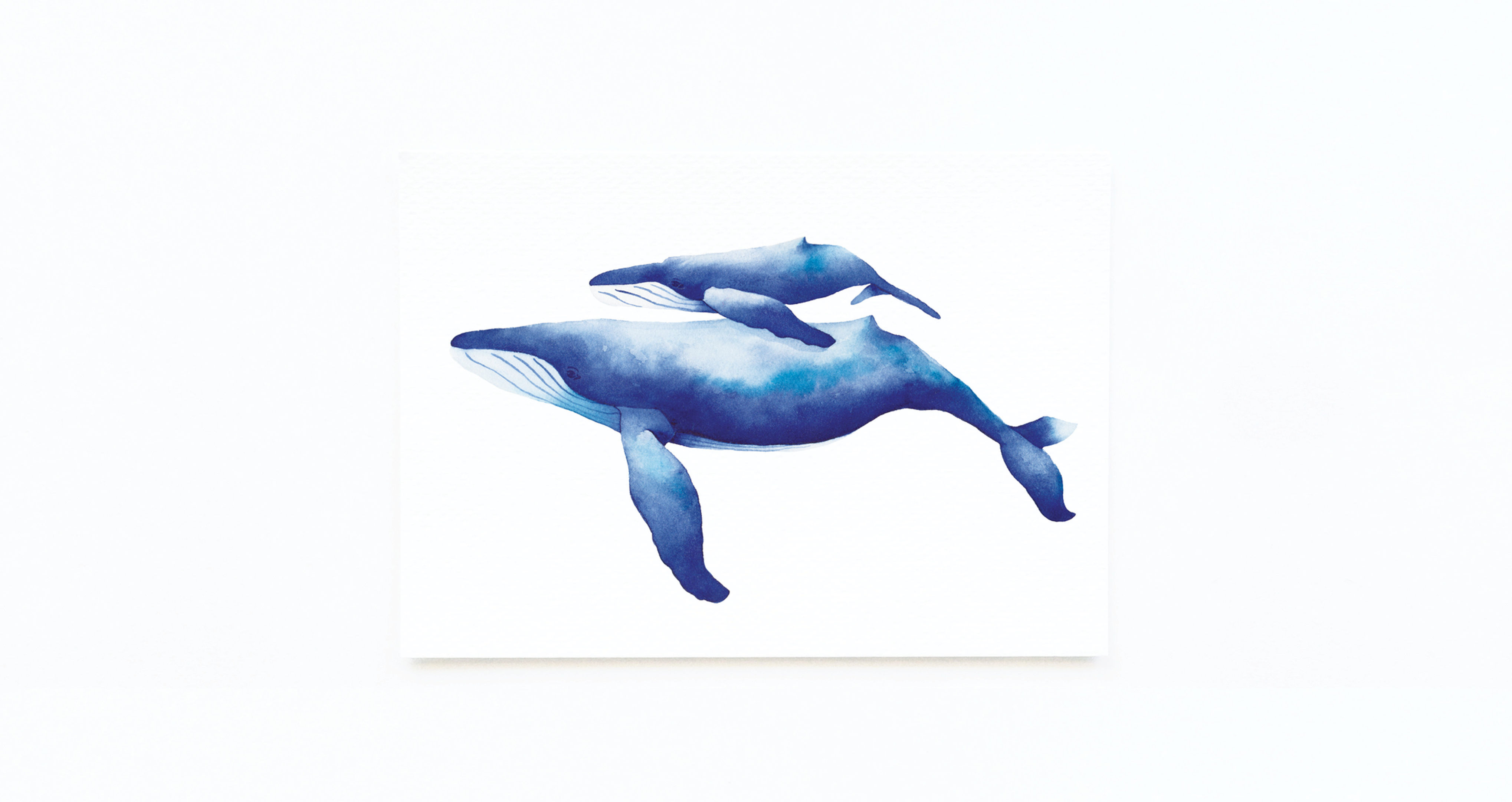 HUMPBACK WHALE & CALF CARD
