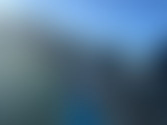 We're going on a bear hunt