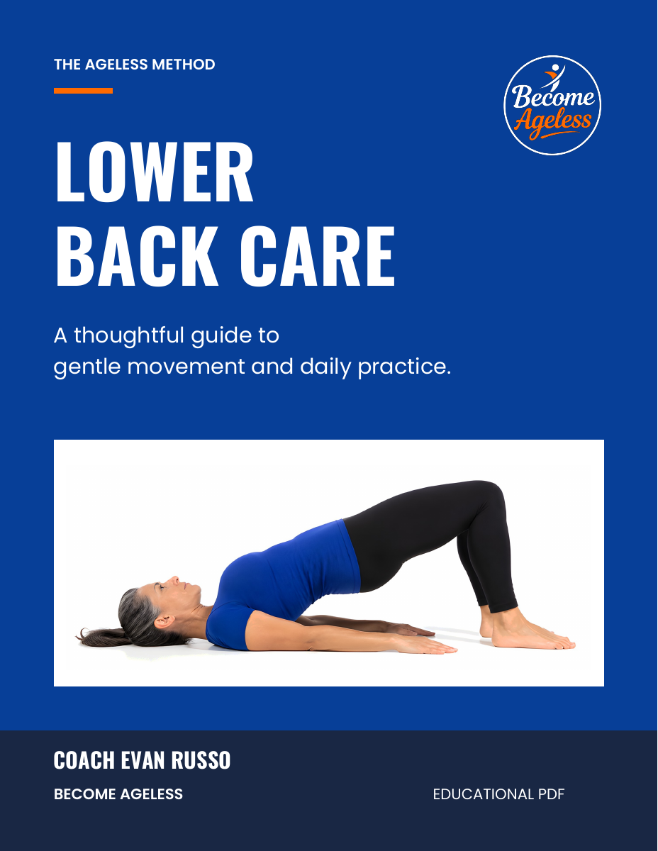 Lower Back Care ebook cover with an approved exercise illustration