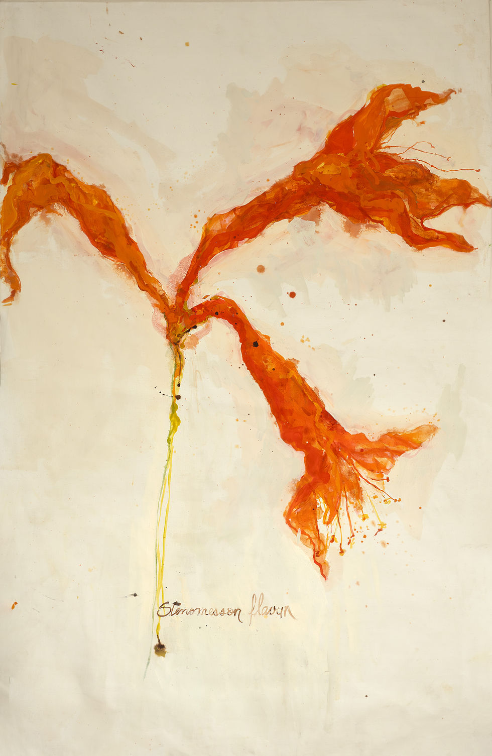 Flor roja de Lomas de Lima