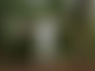 Il nuovo brano di Margherita Buffatti: "Due stelle speciali" (Video)