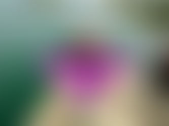 “MAMMA MIA”: LA SINERGIA PERFETTA TRA LA SENSIBILITÀ AUTORALE DI DOMEFAST E L'EXPERTISE PRODUTTIVA DI VOLUPTYK