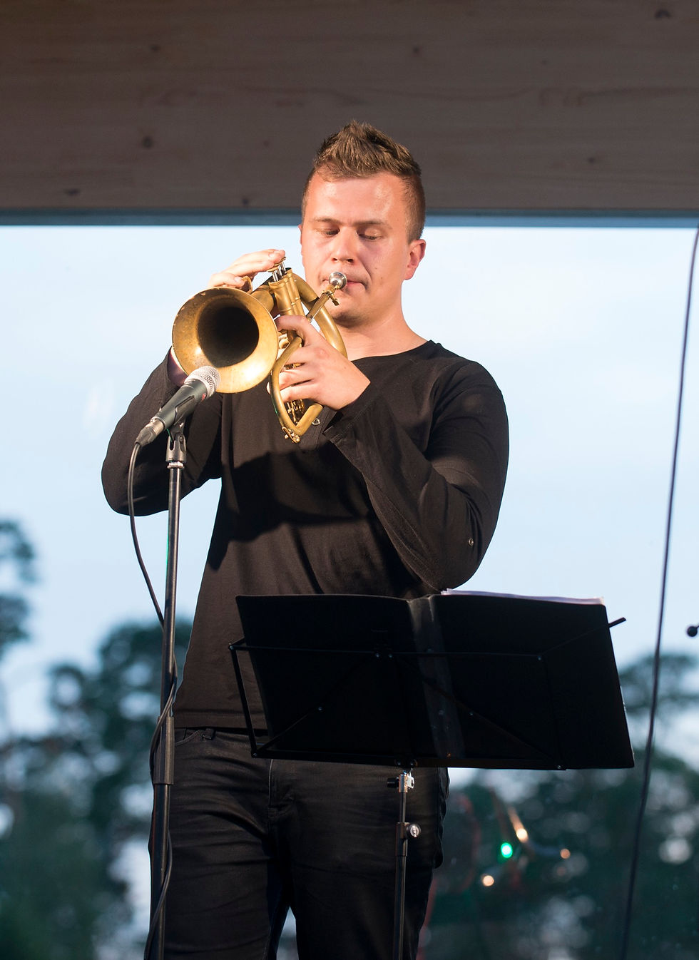 Allan Järve