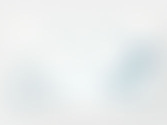 Hot Review! Last Toast on the Coast Bachelorette Party Banner