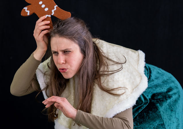 p d'épices tete renard noel.jpg