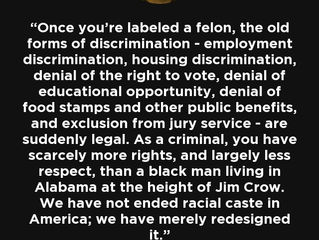 Youth as Sex Offenders and Felons: Is This Too Harsh?