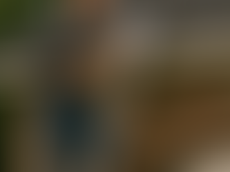 The Importance of Home Inspections in Insurance Claims