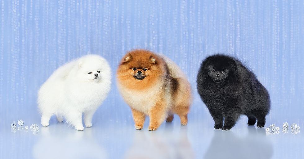 _K8A4376 Website Use.jpg