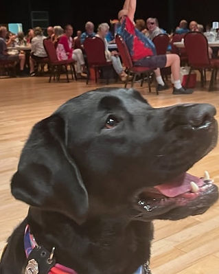 Fido's Future Foundation Event Fundrainsing