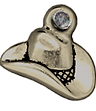 cowboyhat.png