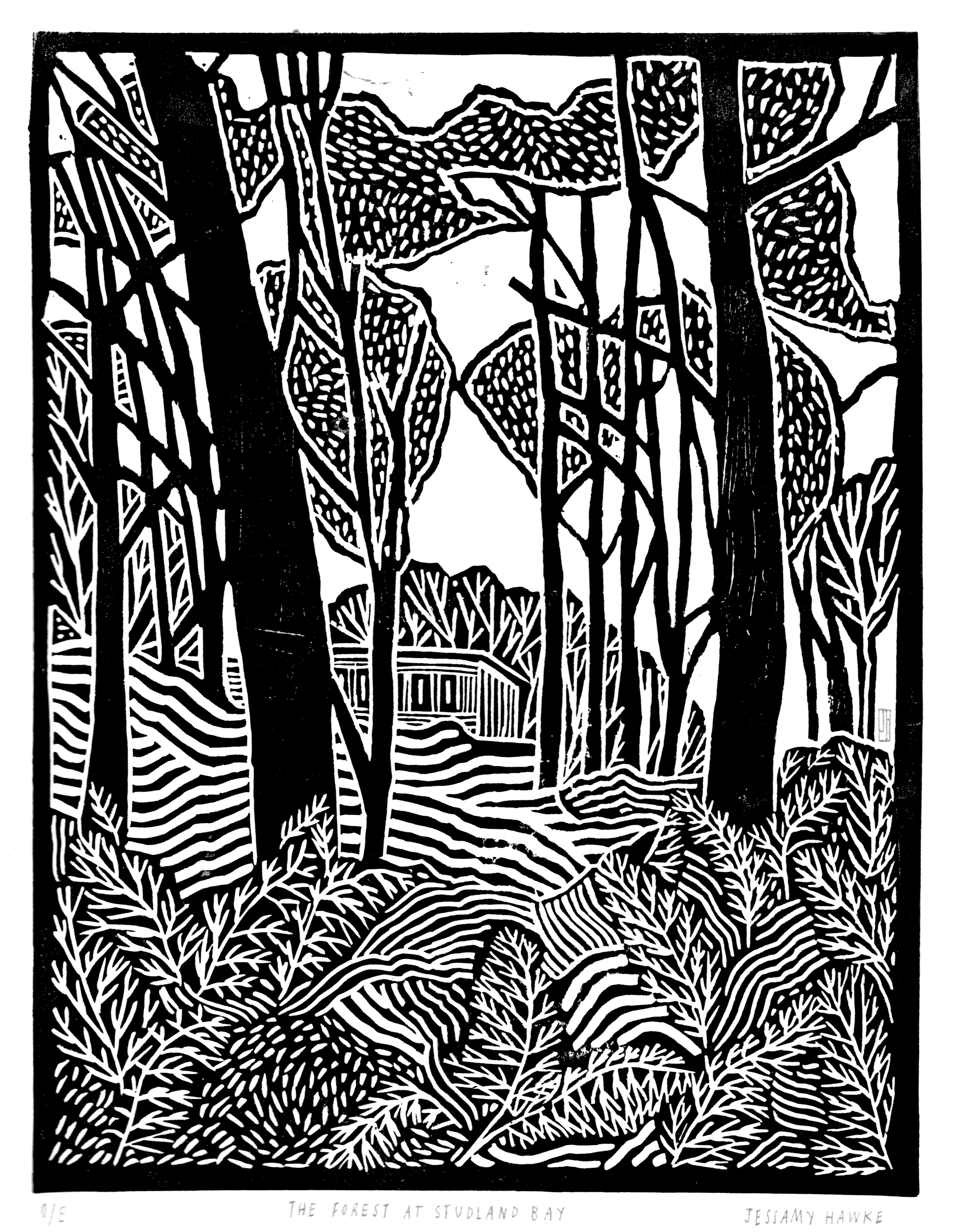 'Forest at Studland Bay'