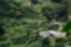 Finca La Emiliana