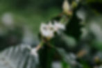 Finca La Sierra