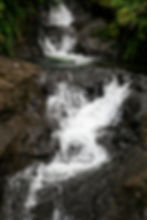 Finca Villa Alegre