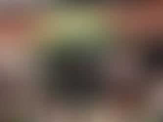 THE DAY OUR DREAMS CAME TRUE!