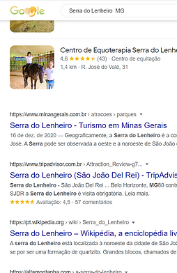 google.png
