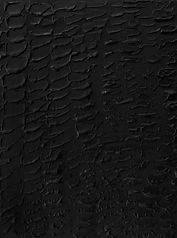 JOSHUA BONSON - SKIN - MOVING THROUGH MONOCHROME
