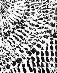 JOSHUA BONSON - SKIN - MOVING THROUGH MONOCHROME