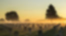 assignment-488-atmospherics-Schoenlj-4-1632771642-scaled.jpg