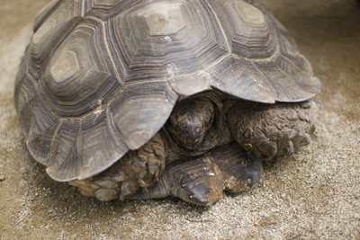 f:id:sho1007:20140407205041j:plain