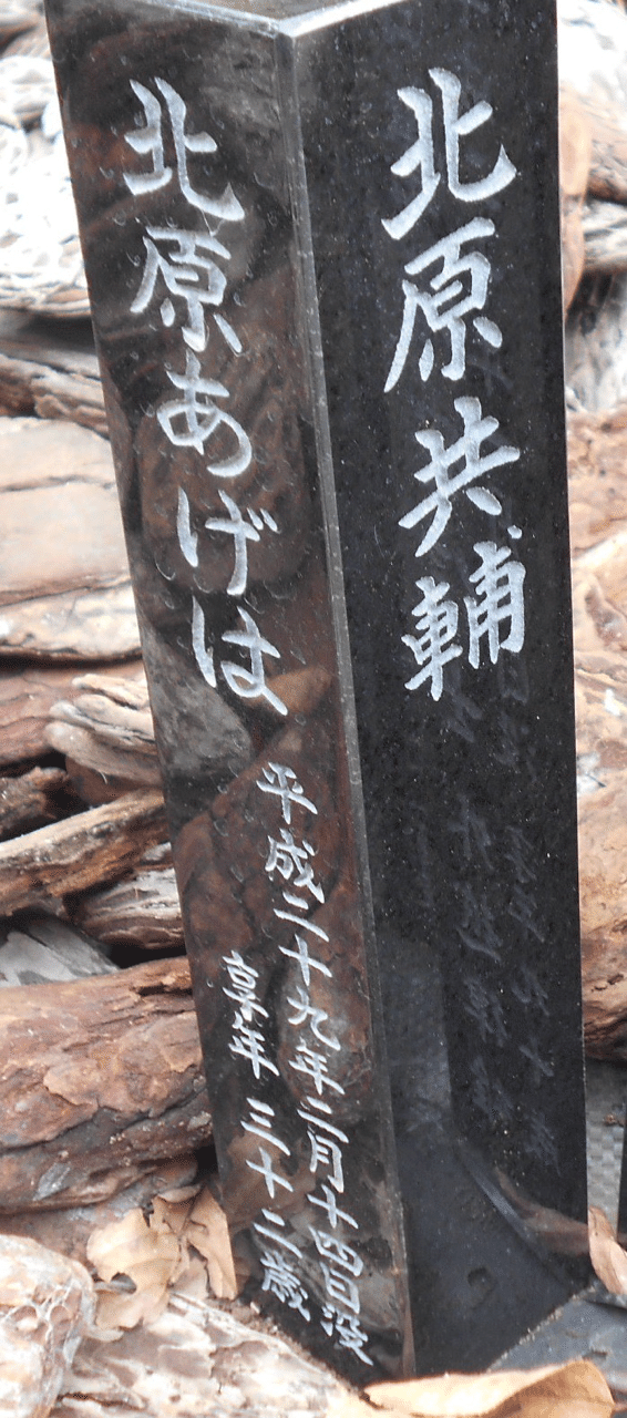 画像を拡大表示