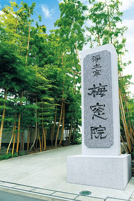 画像を拡大表示