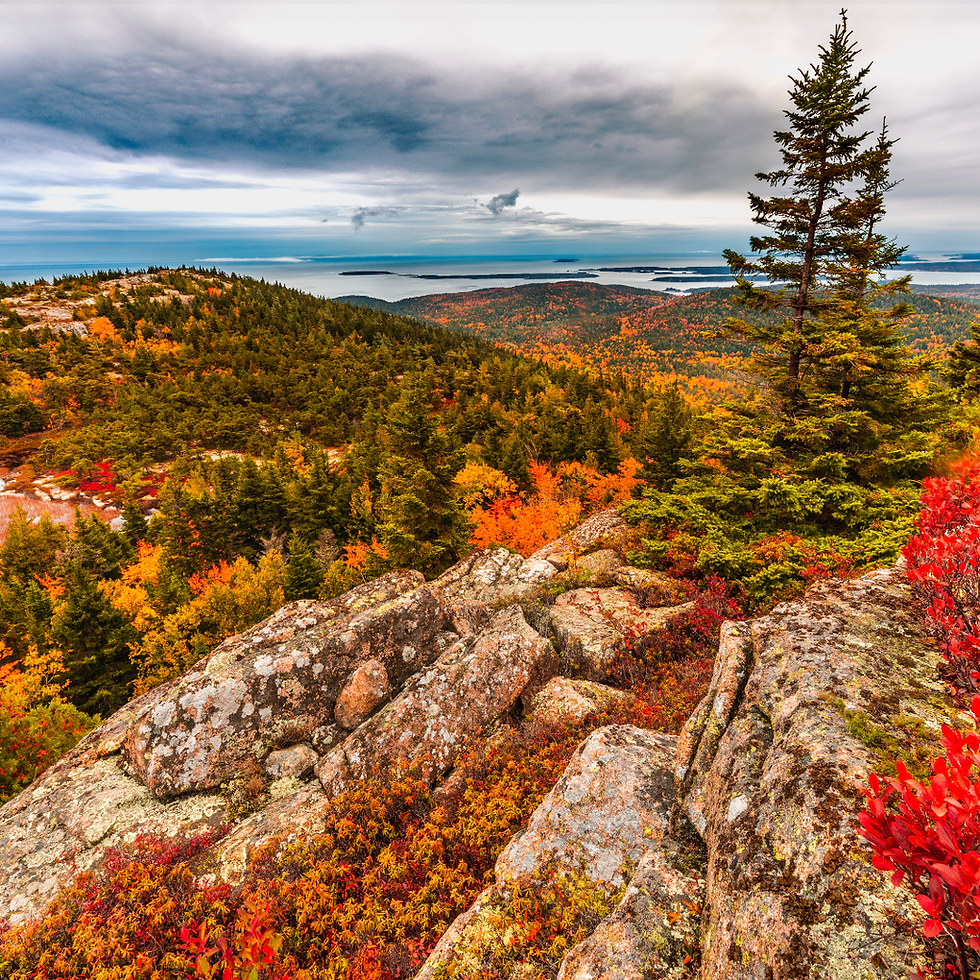 fall colors on the rock cliff shoreline of Acadia National Park