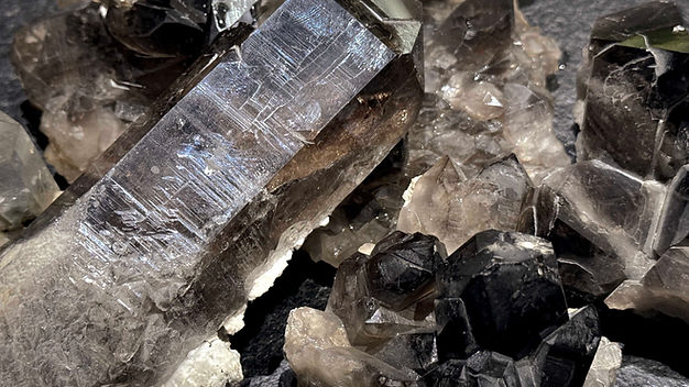 20260129_172424712_iOS copy.jpg