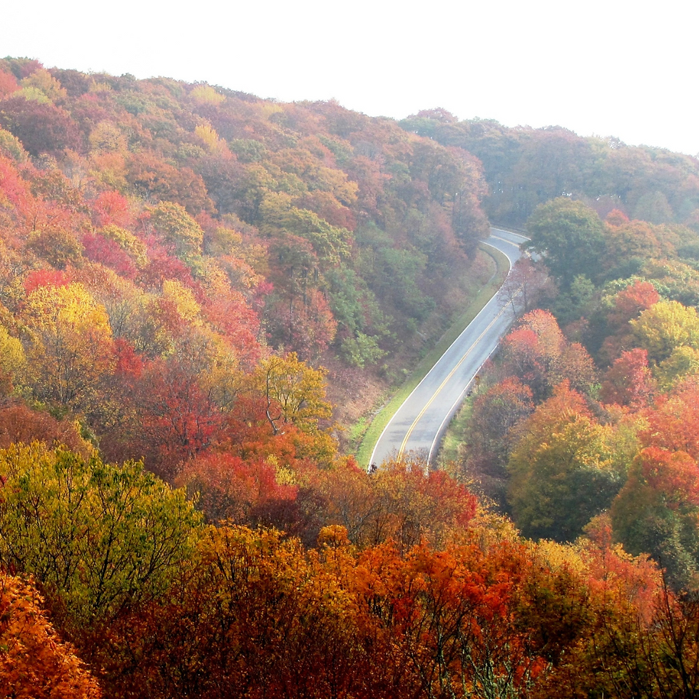 fall colors along the mountain roads, in the Green Mountains located in Vermont