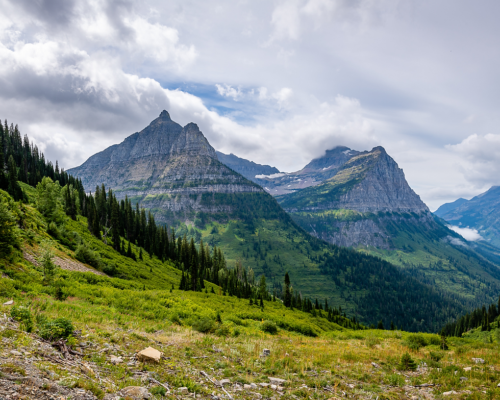 Rocky Mountain views with meadows in the forefround at Glacier National Park