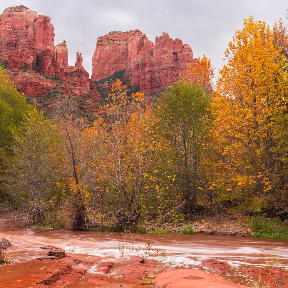fall colors contrasting the red rocks in Sedona, Arizona