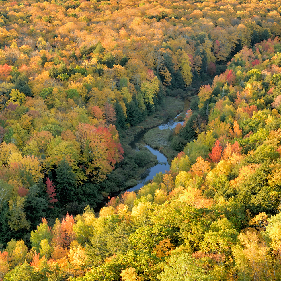 the fall colors, deep in the wilderness of Michigan's Upper Peninsula