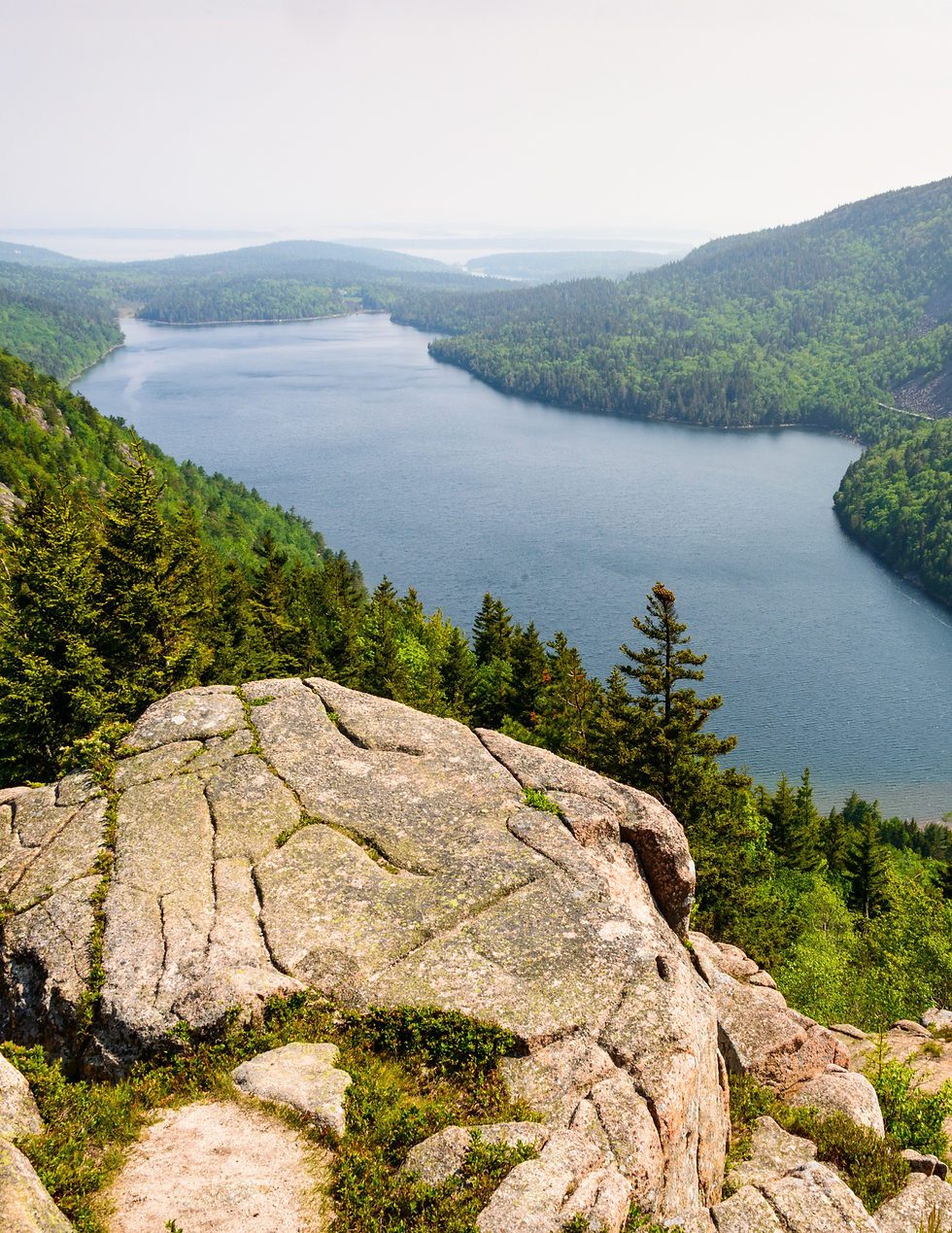 Overlook of the sea from a hiking trail in Acadia National Park