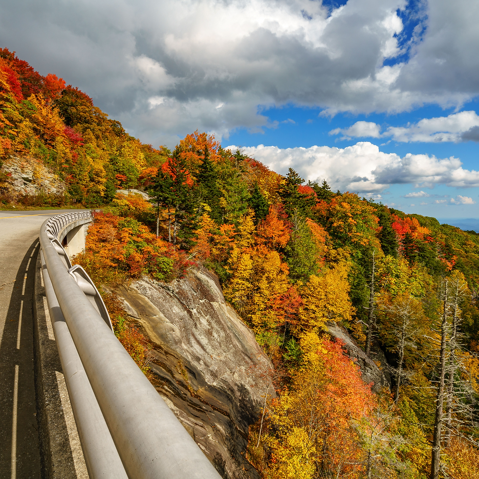 fall colors along the winding roads of North Carolina's Blue Ridge Parkway