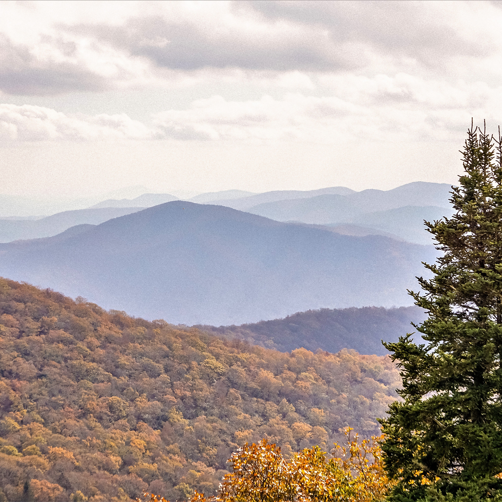 the mountains and forest canopy of Shenandoah Valley, Virginia