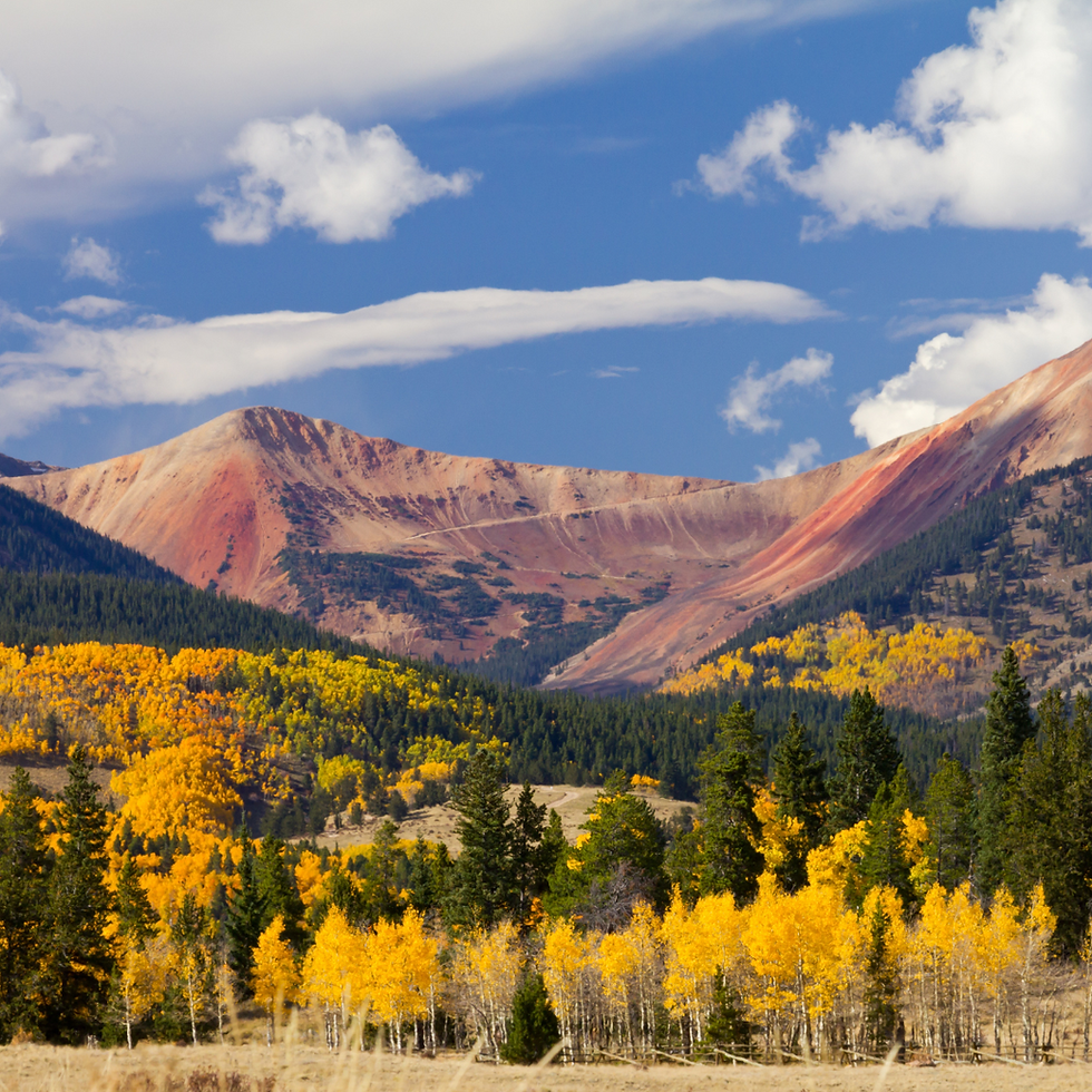 fall colors in the foothills in Aspen, Colorado