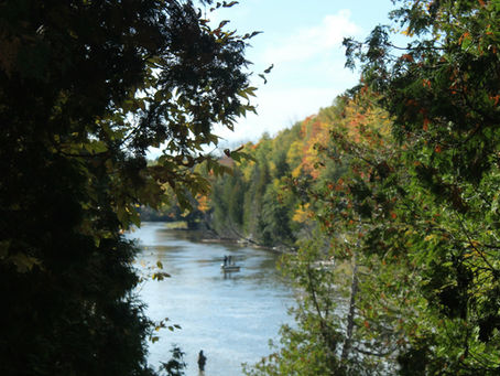 Fly fishing in the middle of the Ouachita National Forest