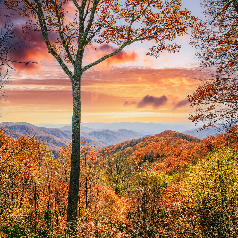 Fall colors spawled across the valley of The Great Smoky Mountains
