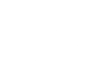 Valquíria branco SEM FUNDO 2.png