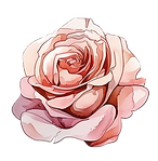 rose.png