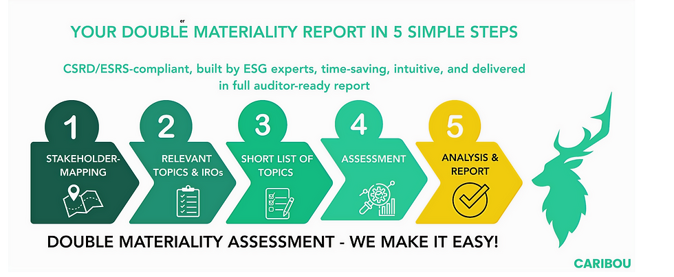 Double-Materiality 5 steps process