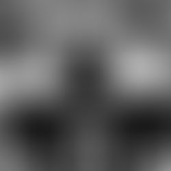 The misunderstood genius