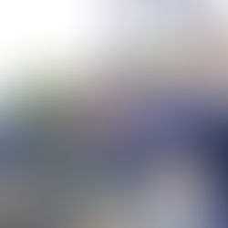 5/3【東伊豆エリア】ダイビングLOG