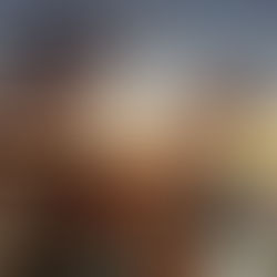 11/27【獅子浜】ダイビングLOG