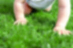 Close-up baby crowling through green gra